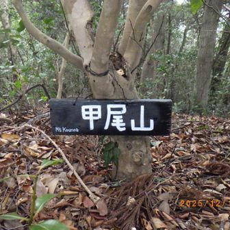 地味な山頂プレート２