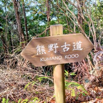 ここは熊野古道・赤城越ルート