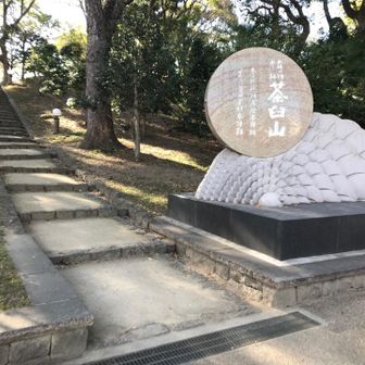 この階段を登る