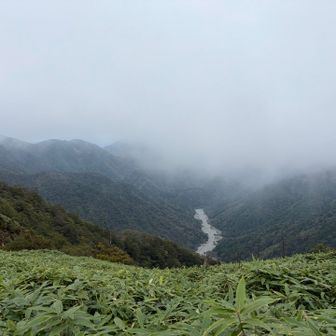 ガスが湧いてきました😶‍🌫️

いよいよ毛蟹さんが近いのかなぁ🤣