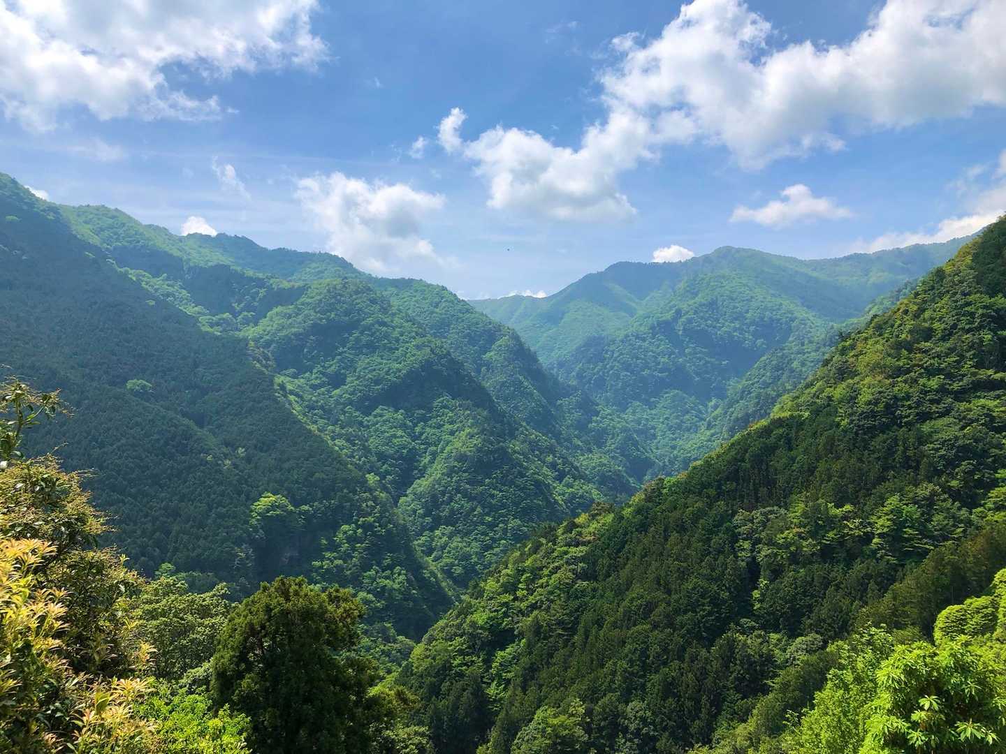 樹林帯を抜け開けた所からの眺め✨