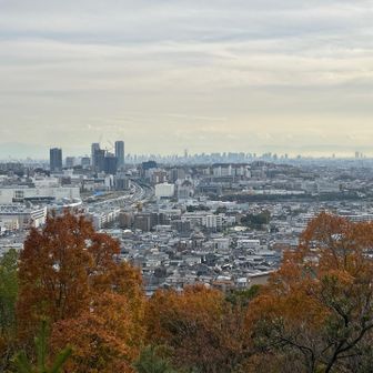 箕面越の梅田
大阪湾から和泉山脈一望