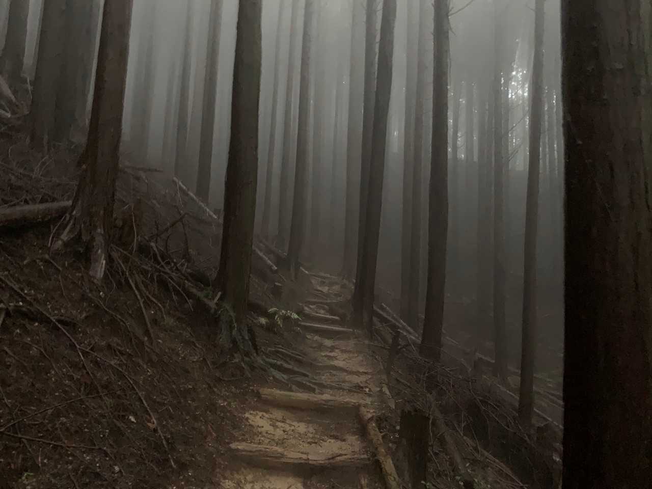 日の出の時間が遅くなっているのと今朝は雨空なので、薄暗い登山道をひたらすら登る…