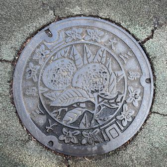 13.カラーを探したが…

みかんをデザインしたマンホール。カラーのマンホール見つからず😭