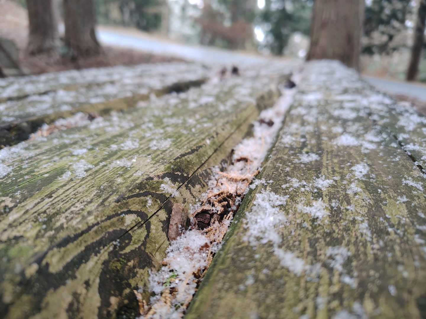 ❄🎶