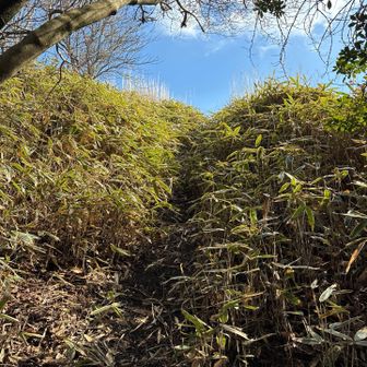 今回は出口から出れた🙌
