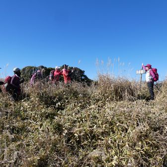 大阪のツアー登山者