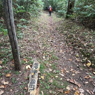 山部川分岐方向へ