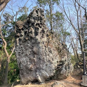 的場石
その昔、信夫山や弁天山からこの石を的に
弓を射た人がいたらしい
今は周りは木々に囲まれている