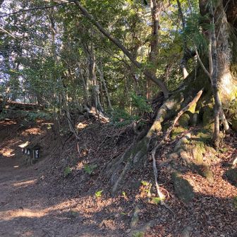 江戸時代は山頂に蔵王権現を祀っていたため、明治以降に大福山と呼ばれる前は権現山や兜山と呼ばれていました