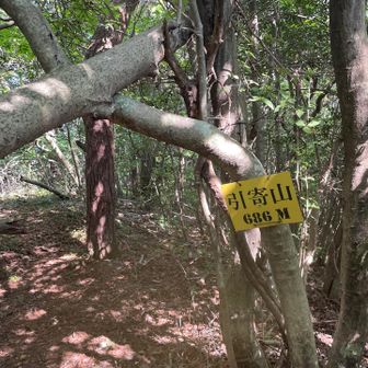 引き寄せ感のなかった引寄山🚩

