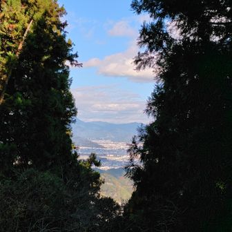 富士山🗻観えるポイント