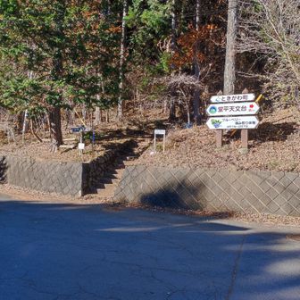 正面の階段から登っていきます