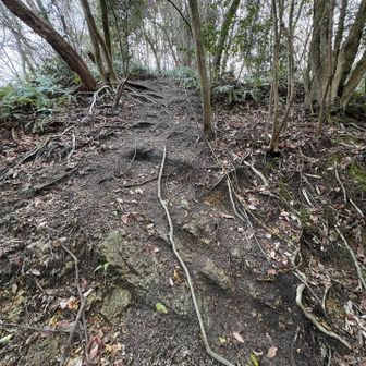たまに出てくる急登💦

まぁ〜アップダウンが激しいこと激しいこと🙀
