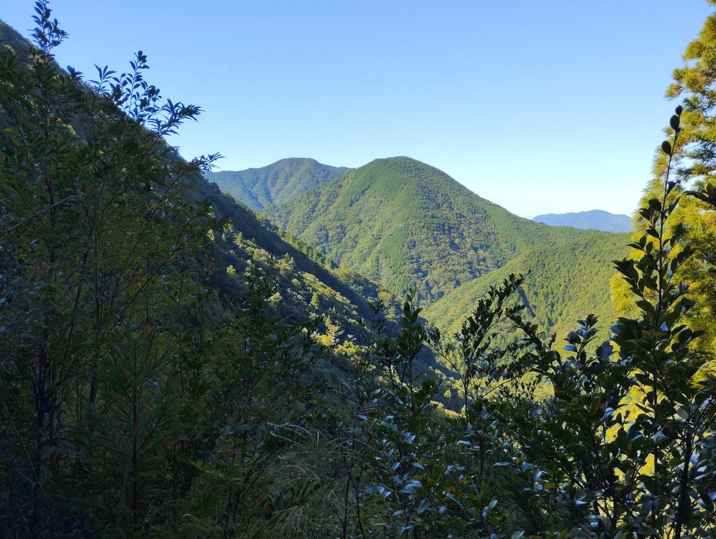 標高670㍍の岩上峠まで上がってきた