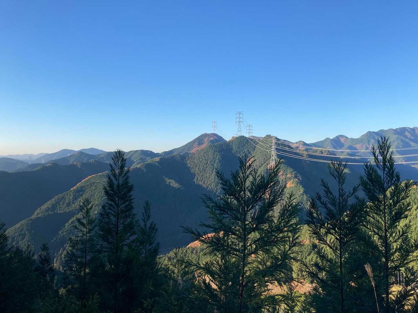 鳴蟲山 往復コースの写真