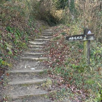 ここからが本番