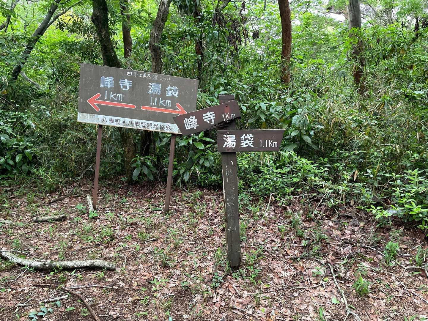 弁天山頂到着
