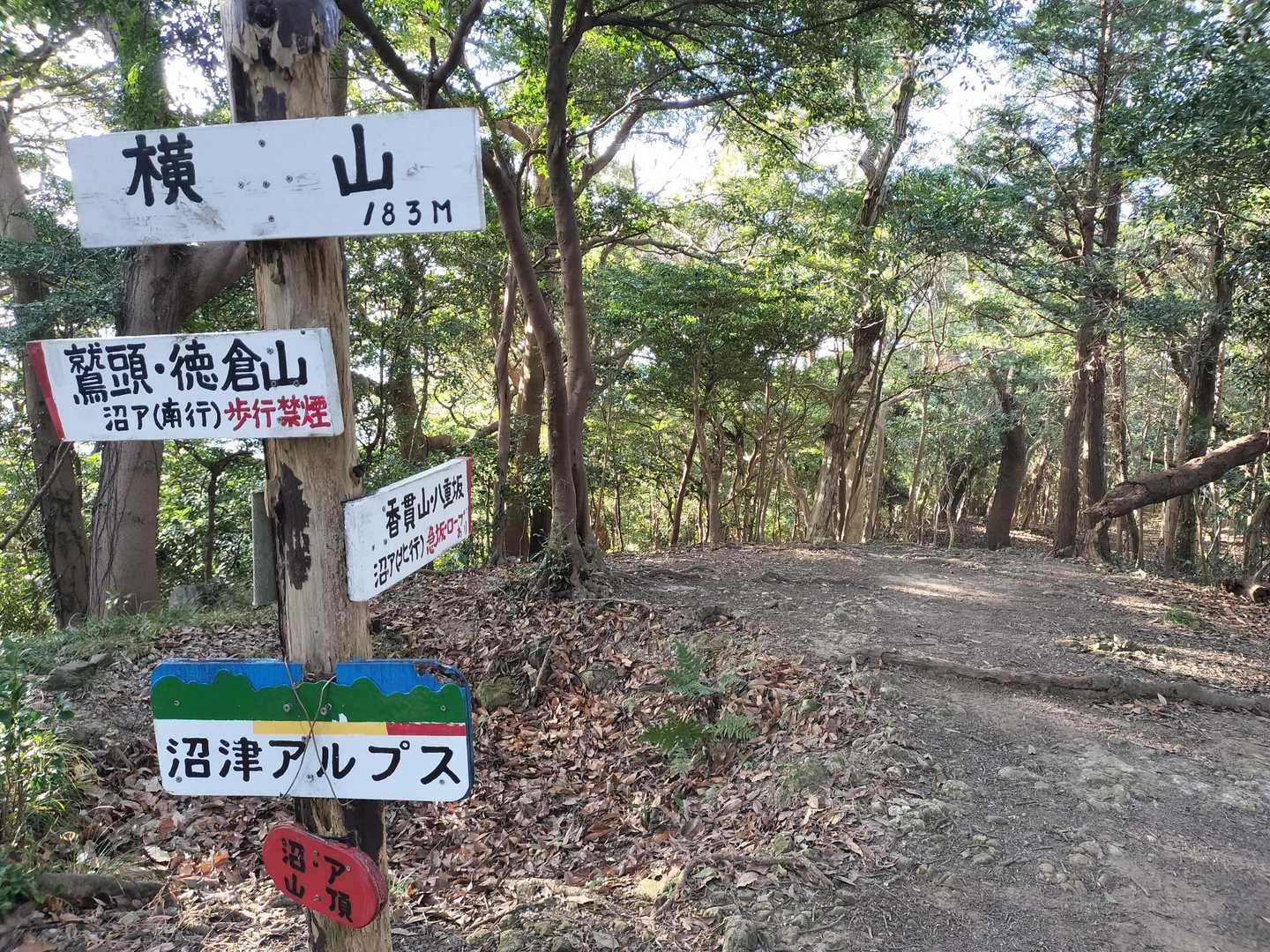 横山に🙌