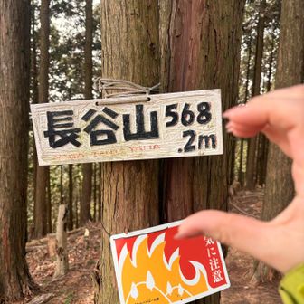 日が差し込んであったかい