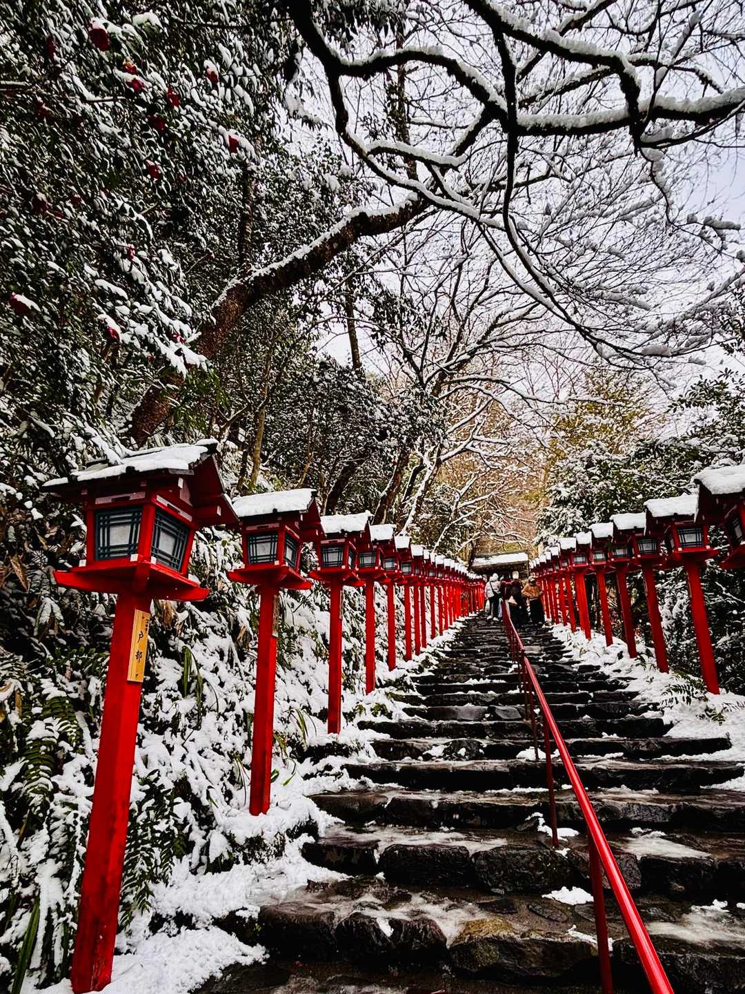 雪景色