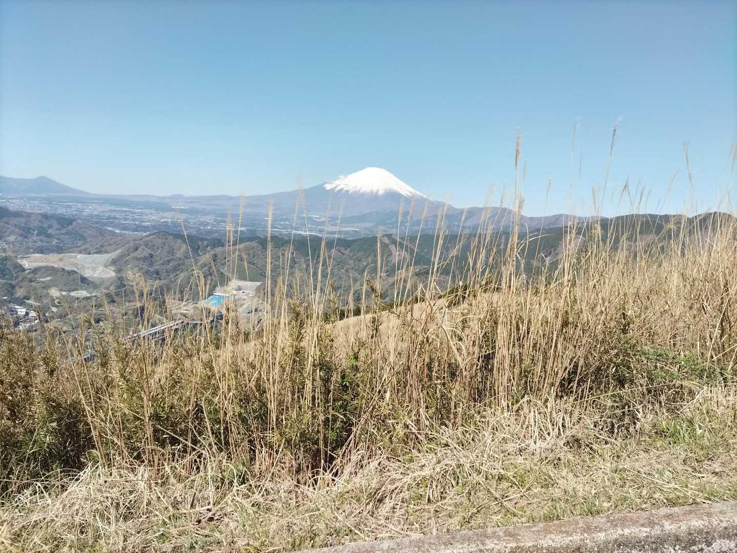 大野山登り口-大野山 往復コースの写真