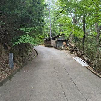 更に金峯神社⛩️へ