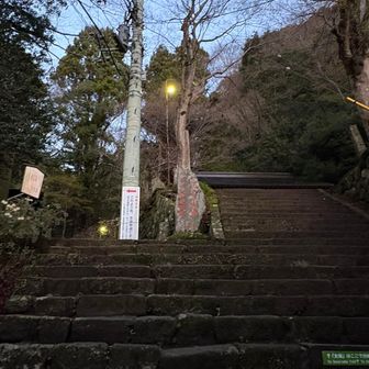 今日は男坂から