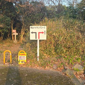 ハイキングコース 右奥へ行くよ
