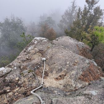 天守岩

覗き見用ロープ？

今日はまっしろ〜😭
