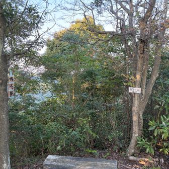 懺法ヶ嶽東峰