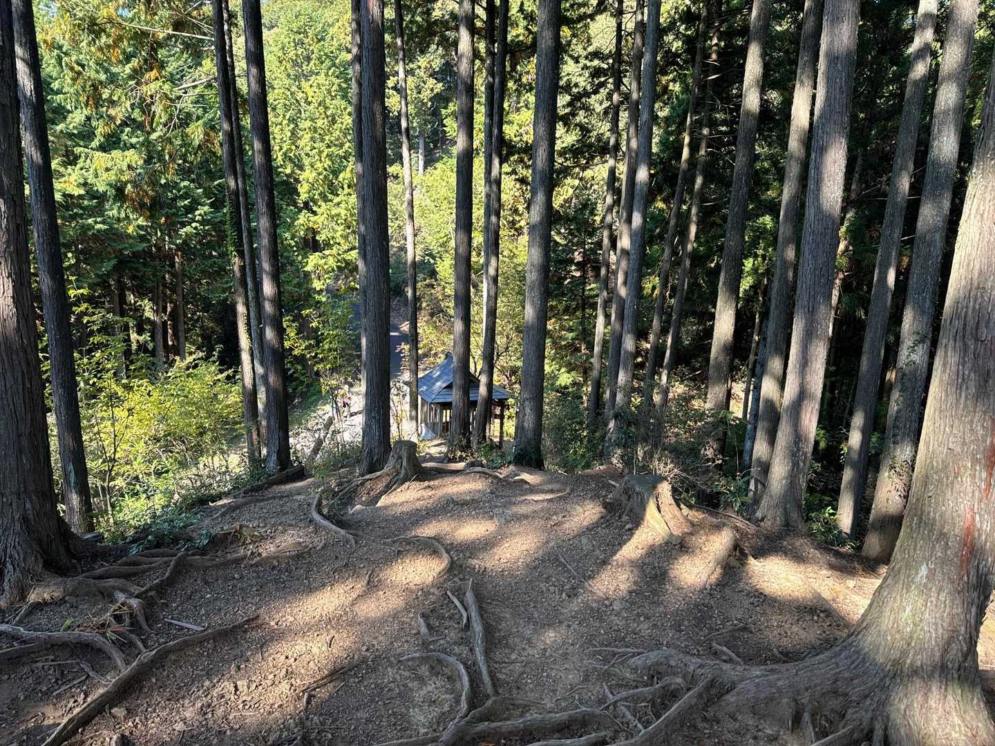 日和田山登山口-金刀比羅神社-日和田山-物見山-小瀬名富士 往復コースの写真