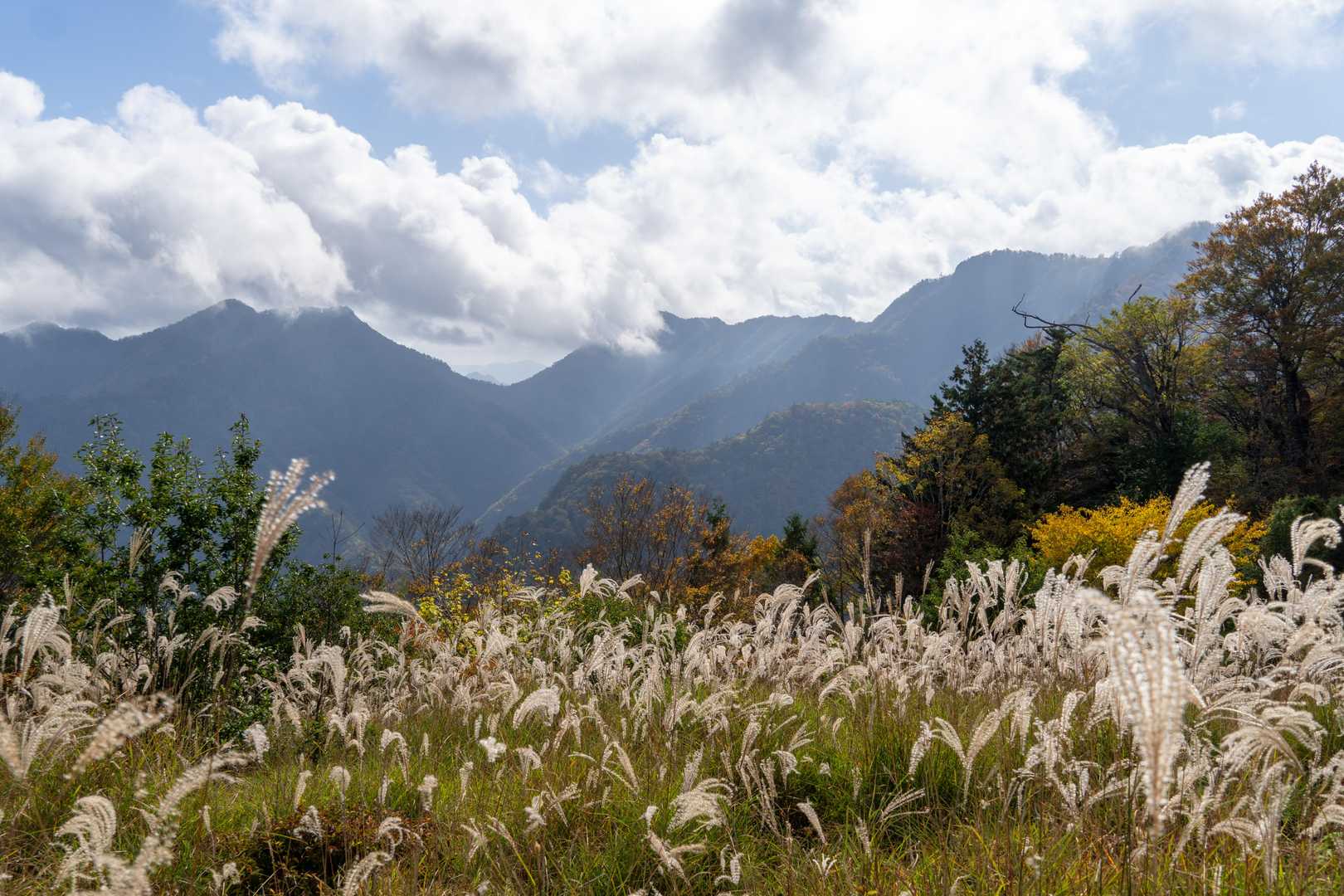 青空平？登山口の看板に「緊急用着陸ヘリポート」と書かれていた場所だと思われます(地図の場所とは少しずれていますけど)。東の方には江股ノ頭や白倉山。すこし雲がかかっています