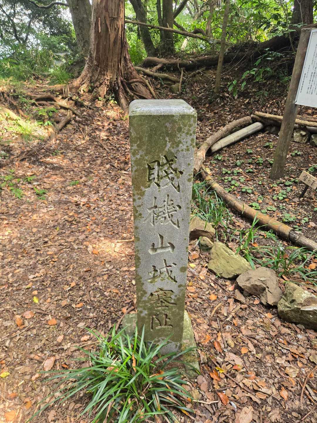 浅間神社登山口-浅間山-賤機山-茶臼山 往復コースの写真