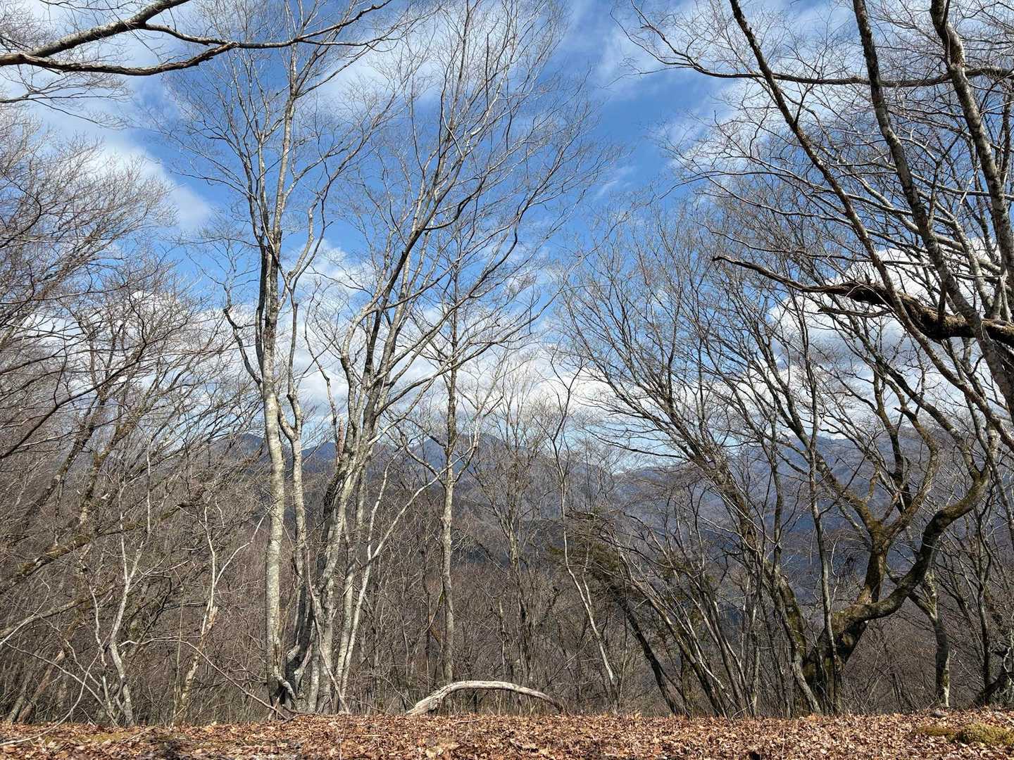 冬は見晴らしが良いランチ場所