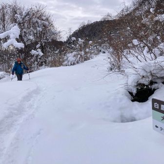 山形市内は、雪がなかったけど、ここは別世界