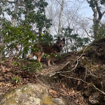 飼い主さん、ちゃんと来てますか？！