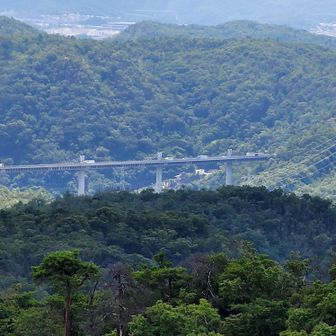 山間を抜け走る🚗💨
新名神高速道路