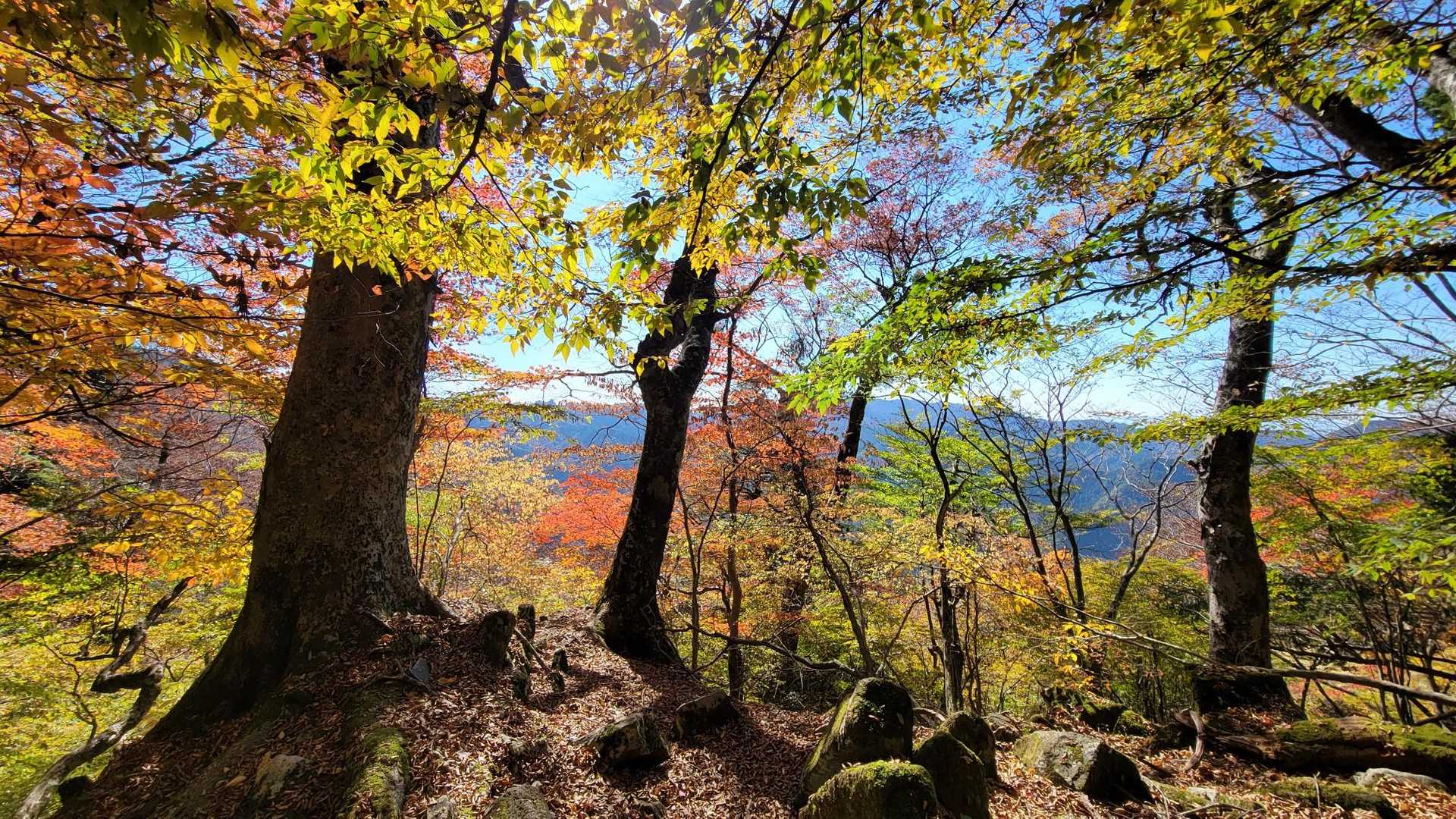 玉屋神社登山口-英彦山 周回コースの写真