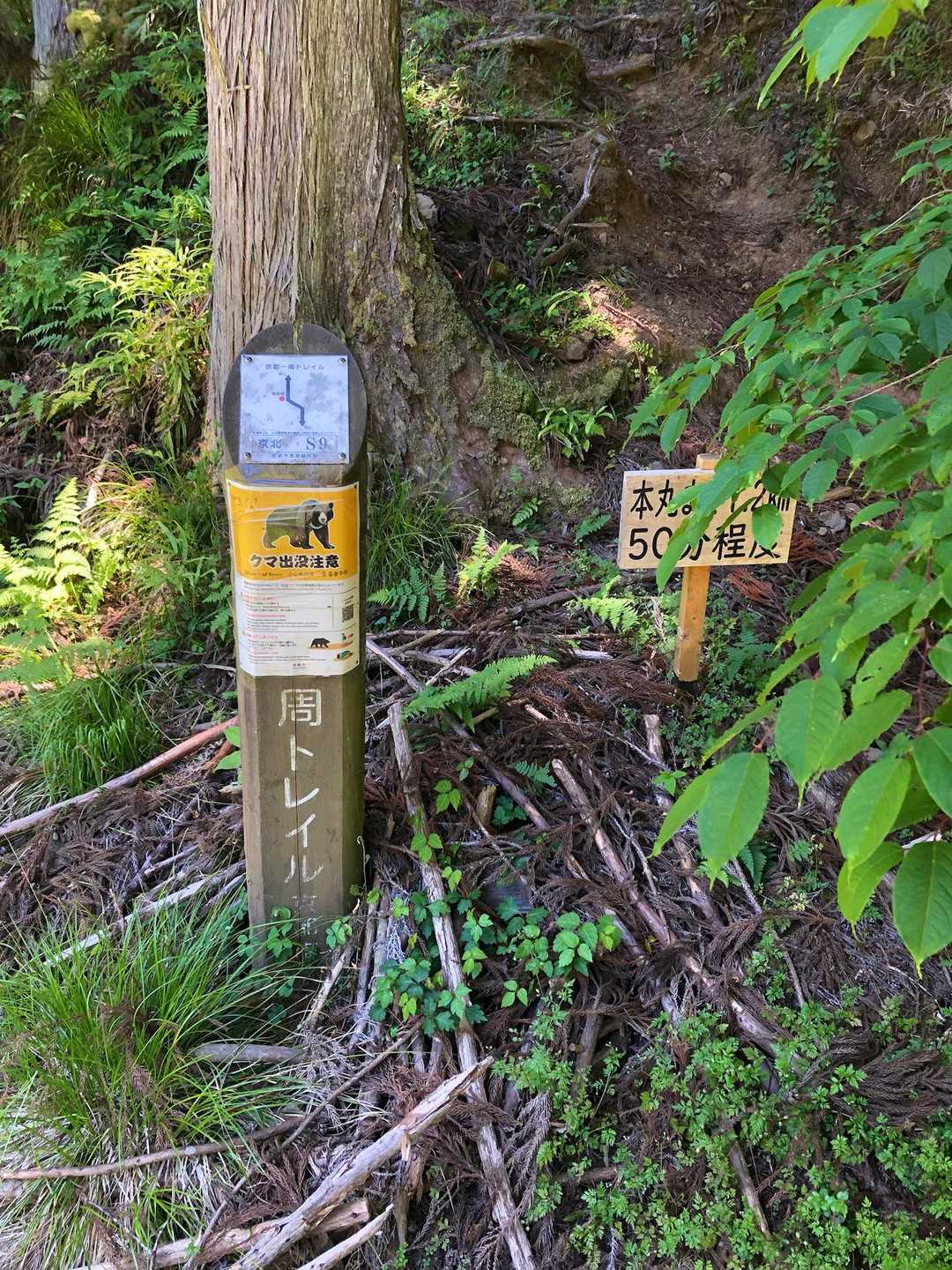 ここから登山口です。一応、熊鈴を付けて。