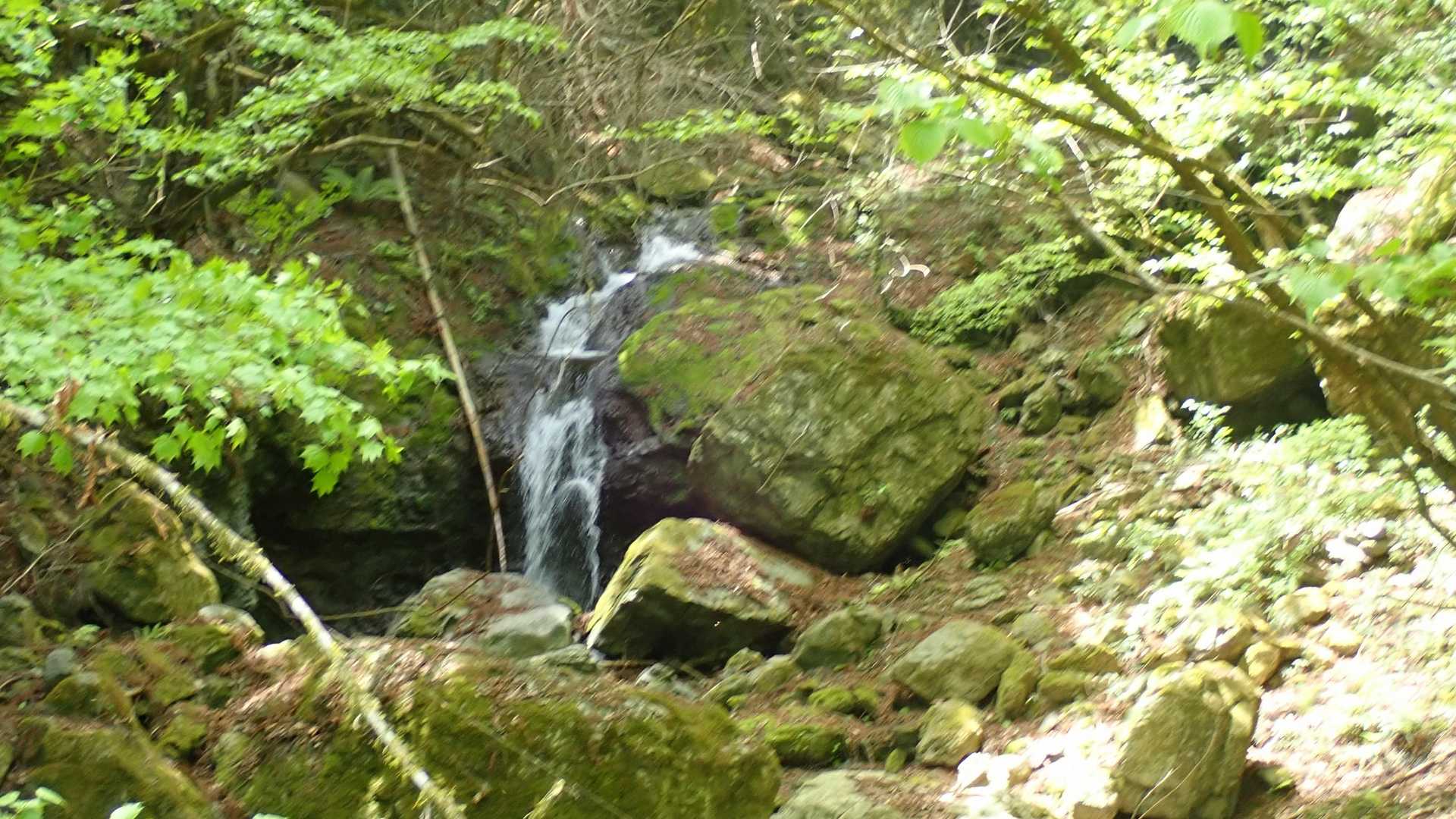 登山口近くにあった滝