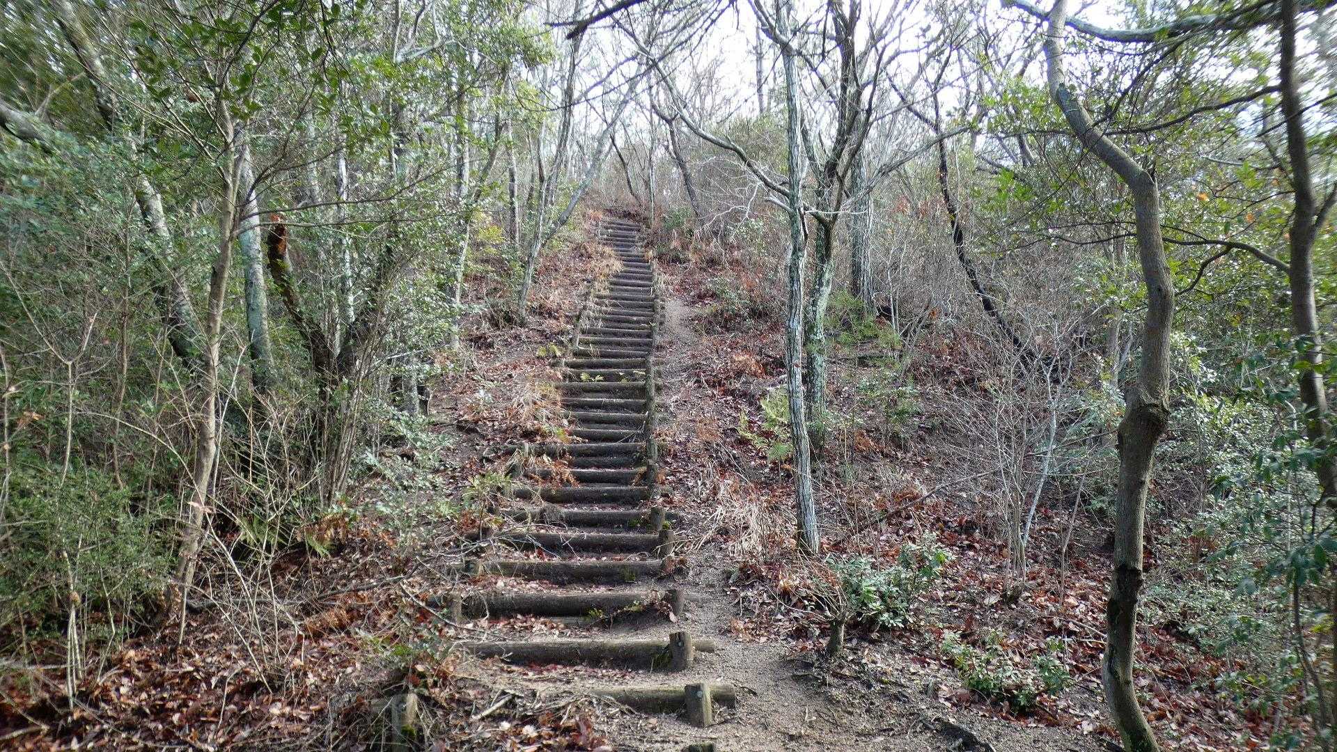 古鷹山への登り返しは階段がきつめ