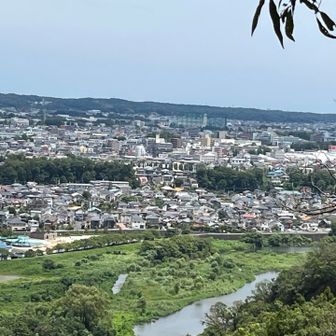 羽村神社からの眺め。