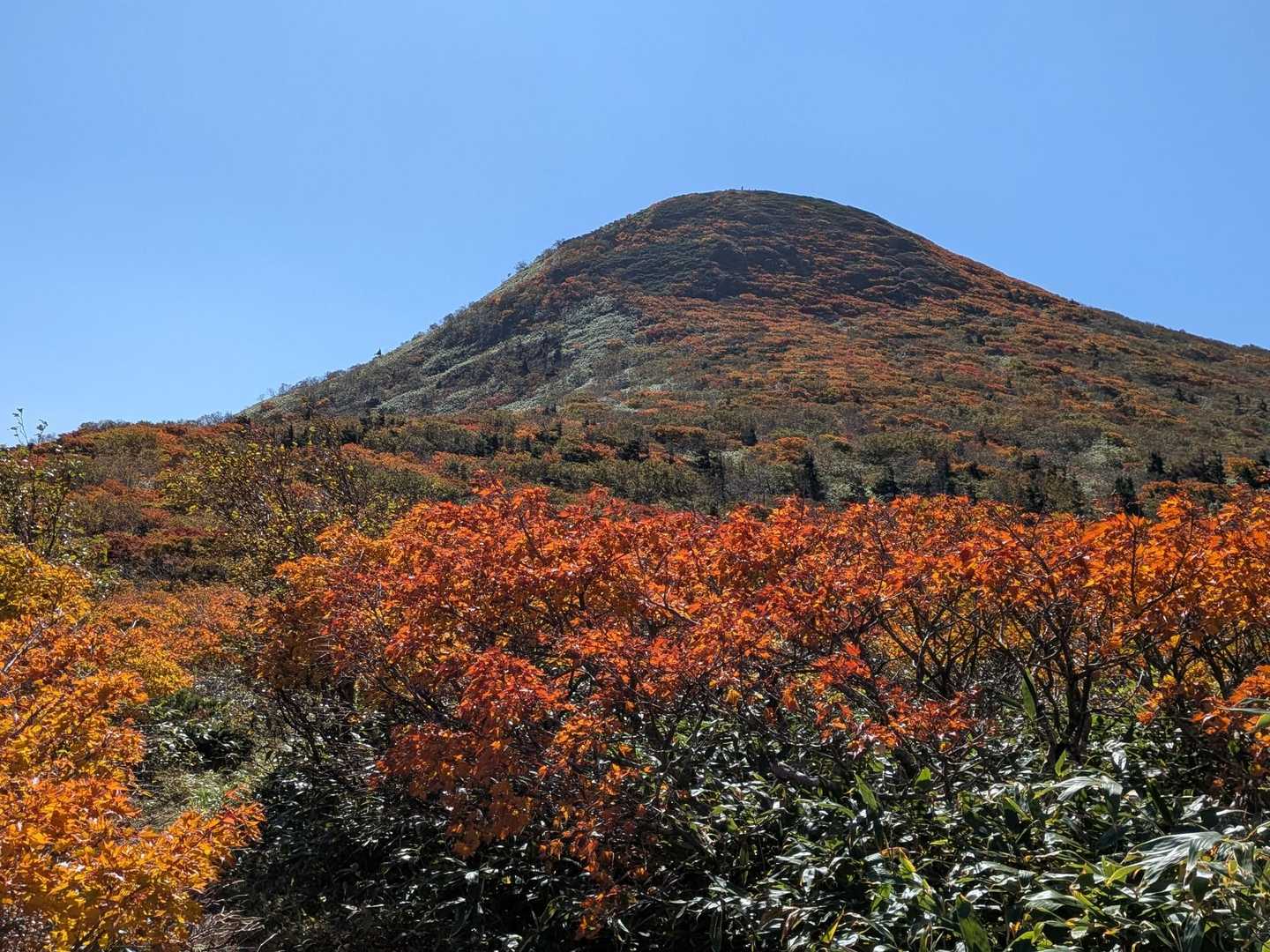 これから向かう小畚山⤴️😍
紅葉🍁の真っ只中にいます⤴️🙌