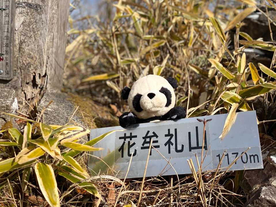 特にきつくもなくあっという間に山頂です。山頂は意外と狭いですね。ちょっと休憩🐼
甘太くんの焼き芋🍠食べて、いつもの紅茶を飲んで時間もあることだしながみず山へ向かってみようかな〜今日は縦走無理だし…軽い気持ちが災難に😅