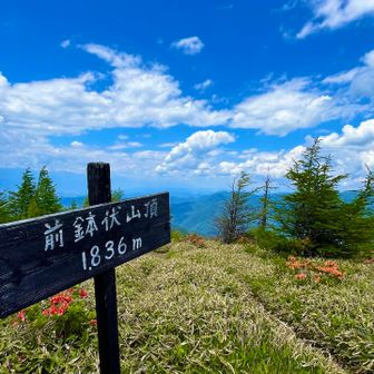 前鉢伏山山頂。