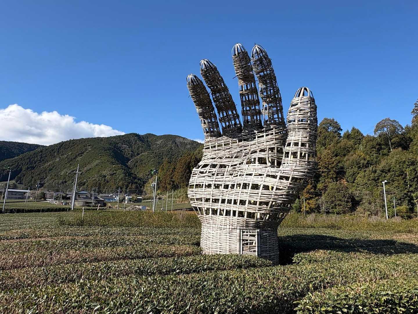 抜里駅-ぼいんぼいん山登り口-寺山 往復コースの写真