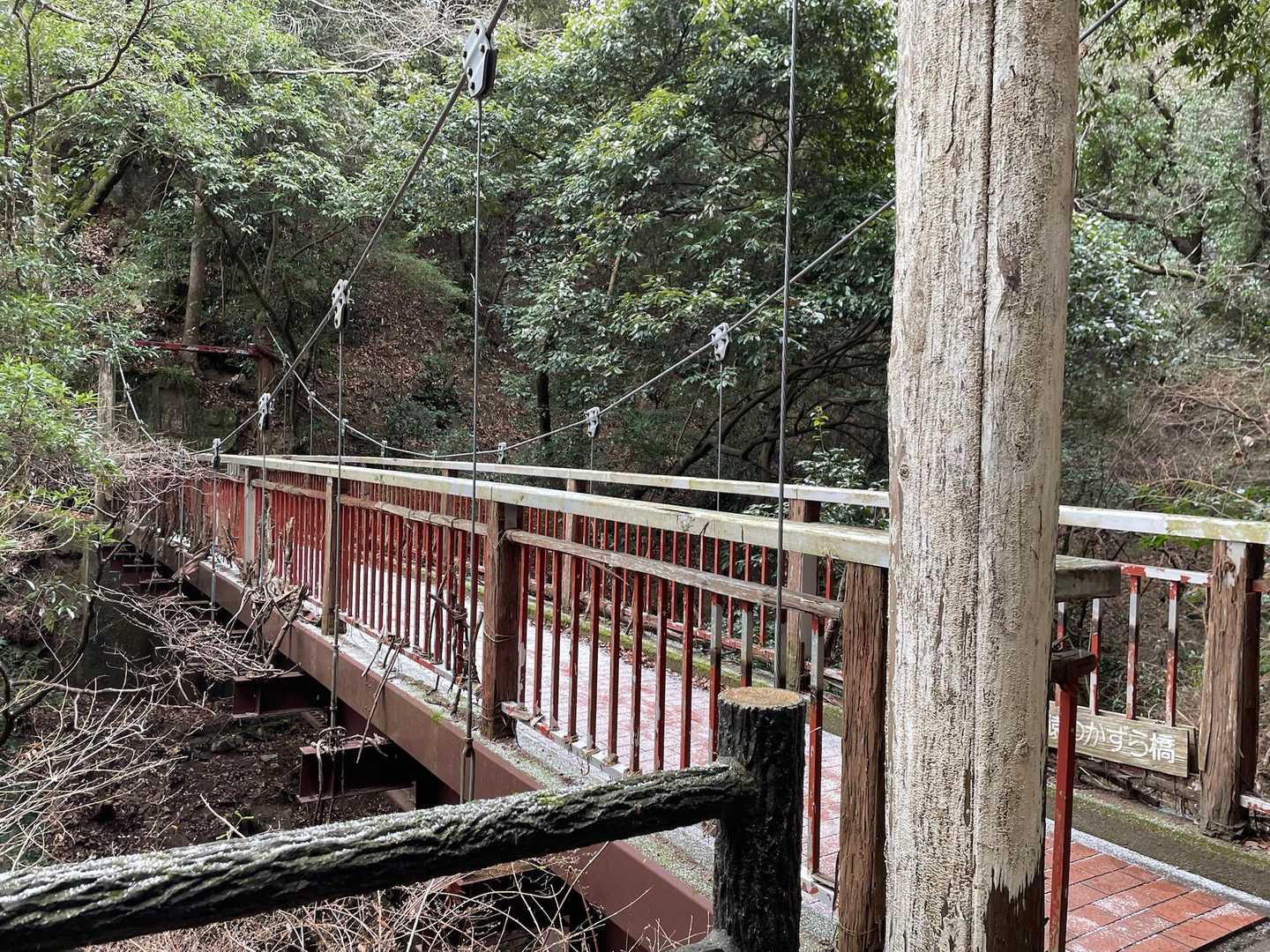 猿のかずら橋。鉄筋に巻かれた木の皮がどんどん剥がれていってるそうです。