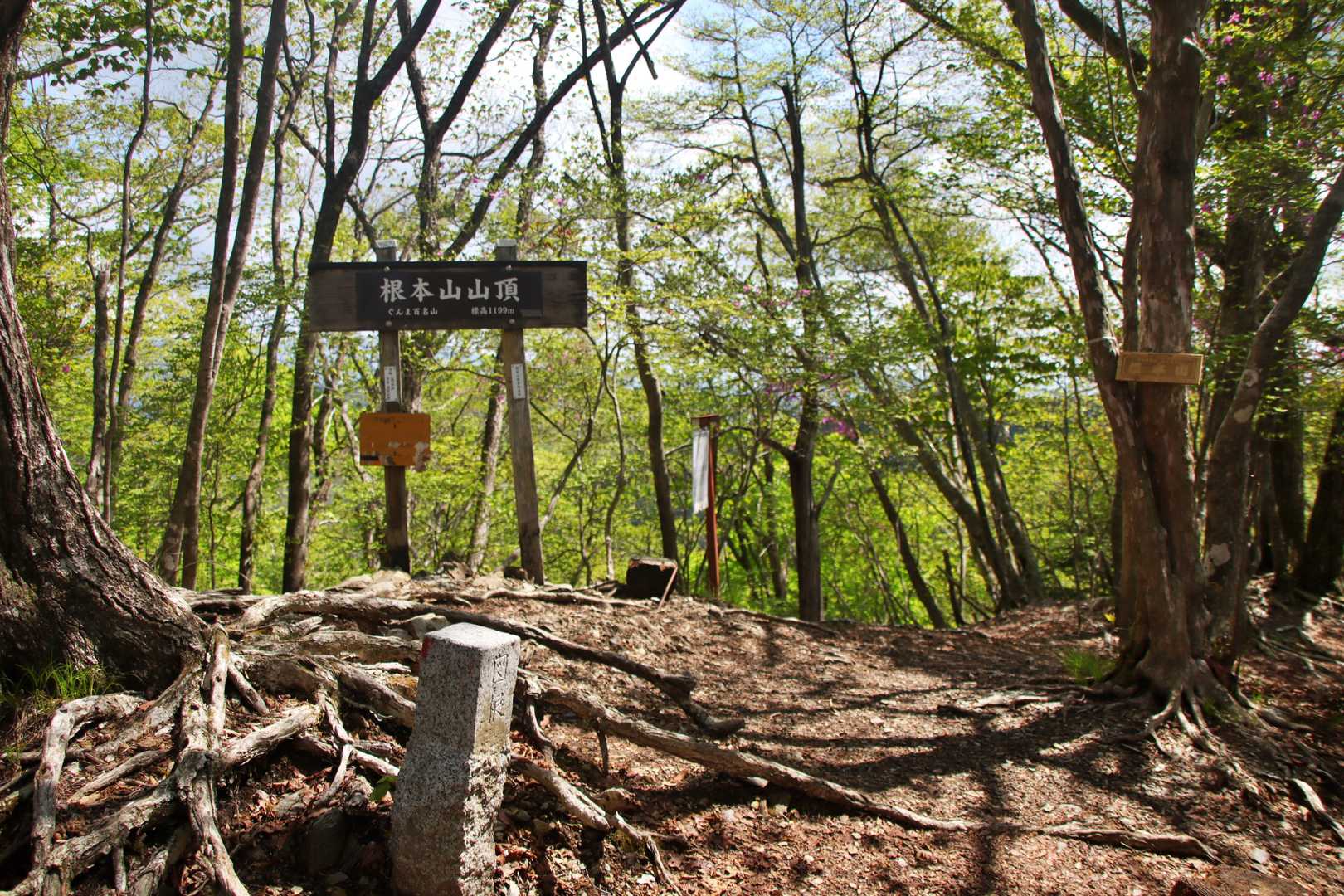 根本山山頂（1,199m）に到着。
先客は1名。ここまで車の台数の割には静かだった。