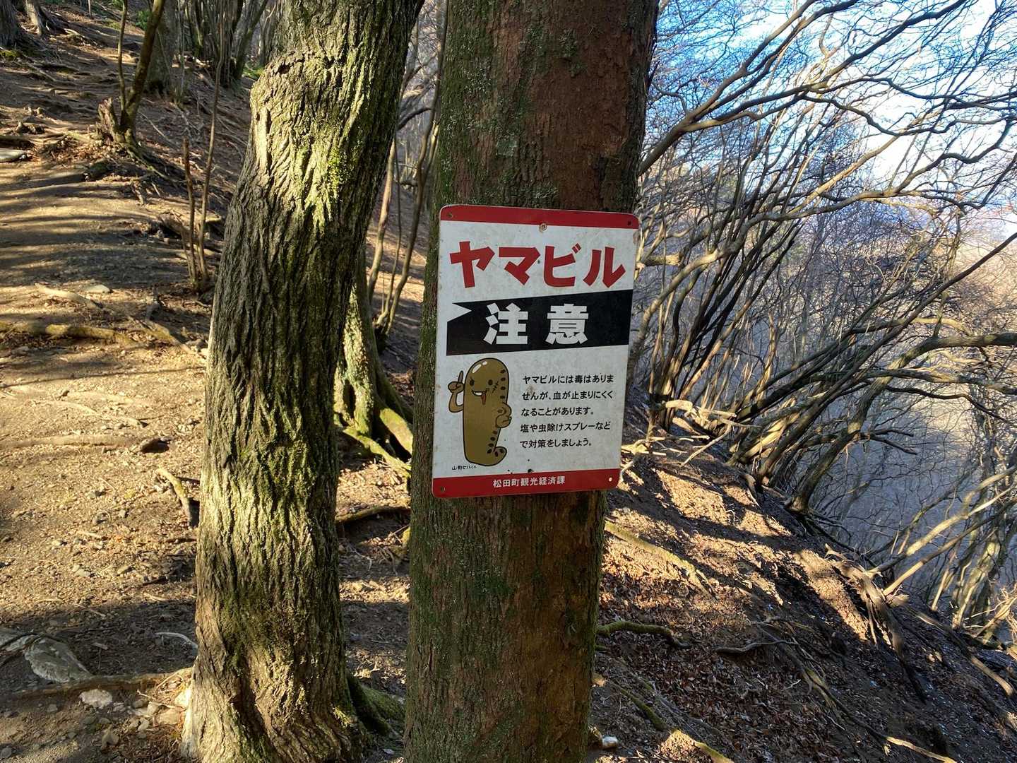 ピークごとに塩があるから、相当出るんだろうな？
（冬しか来れないな）